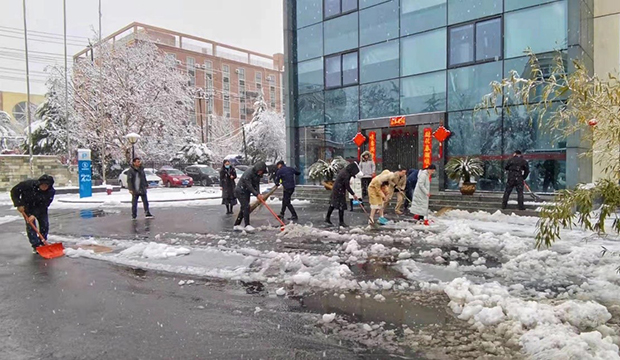 国祯电力及国祯环卫公司组织开展义务除雪活动